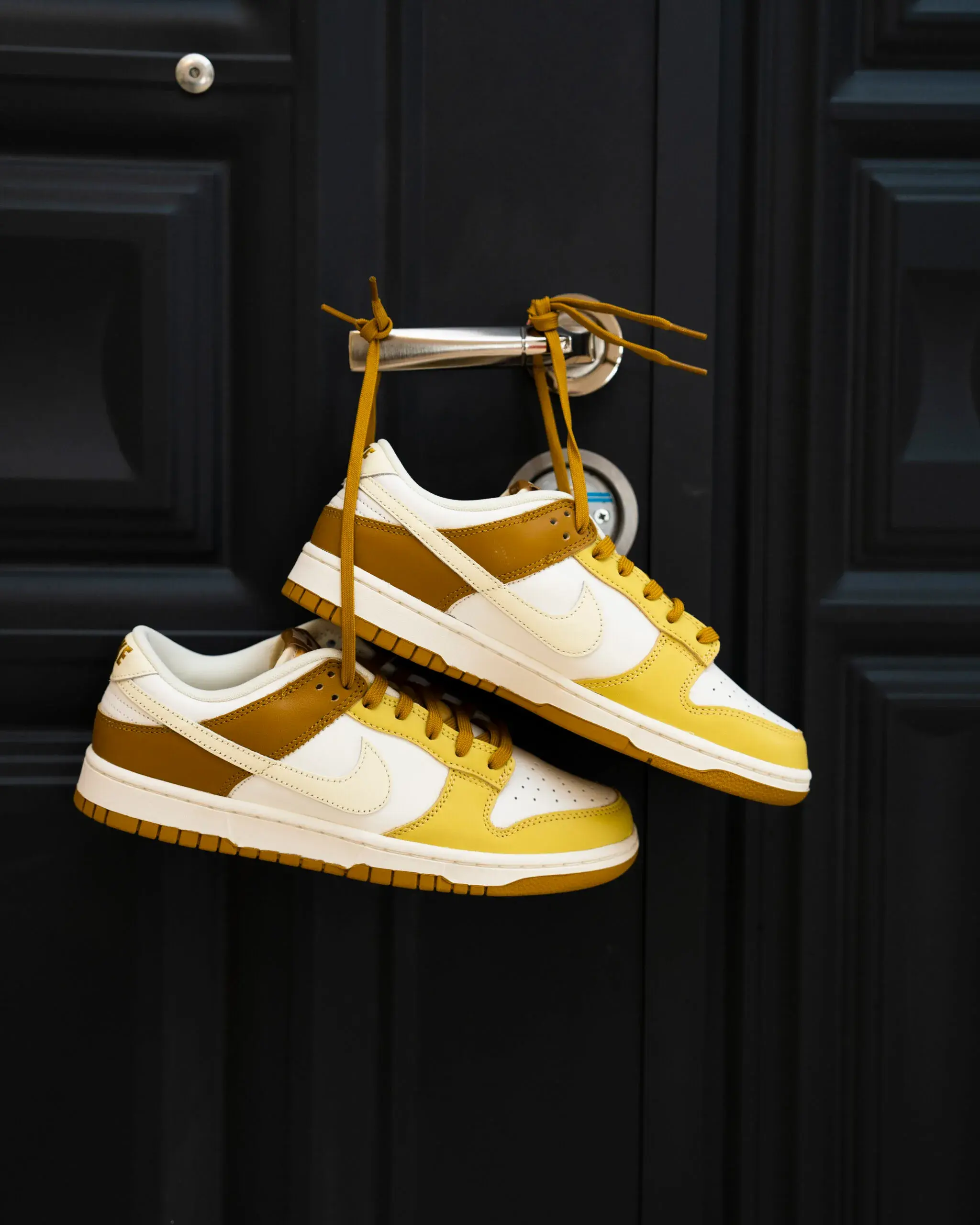 Nike Dunk Low Retro 'Bronzine'